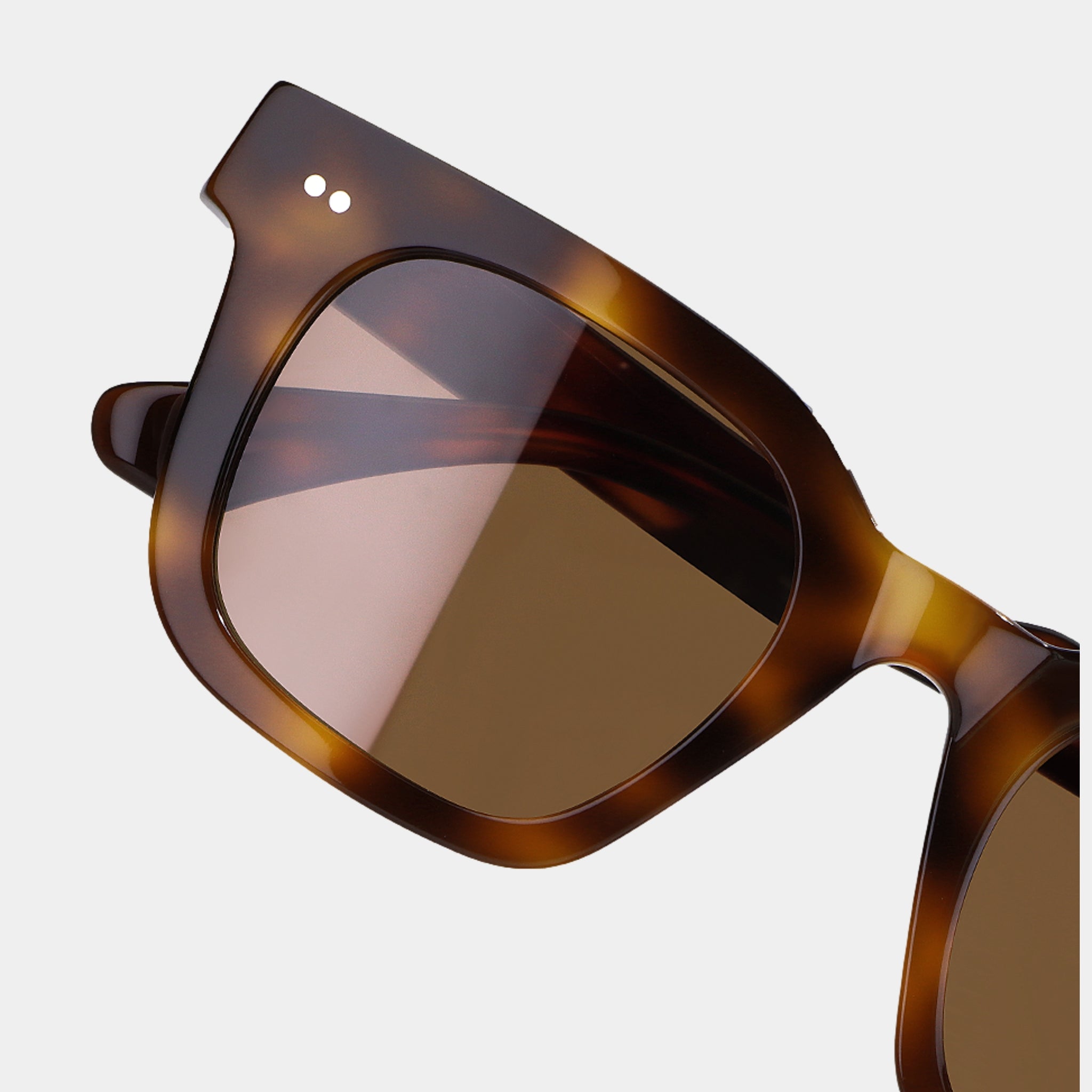 Havana/Marrón – Milton – Cuadrada – Acetato – Gafas de sol