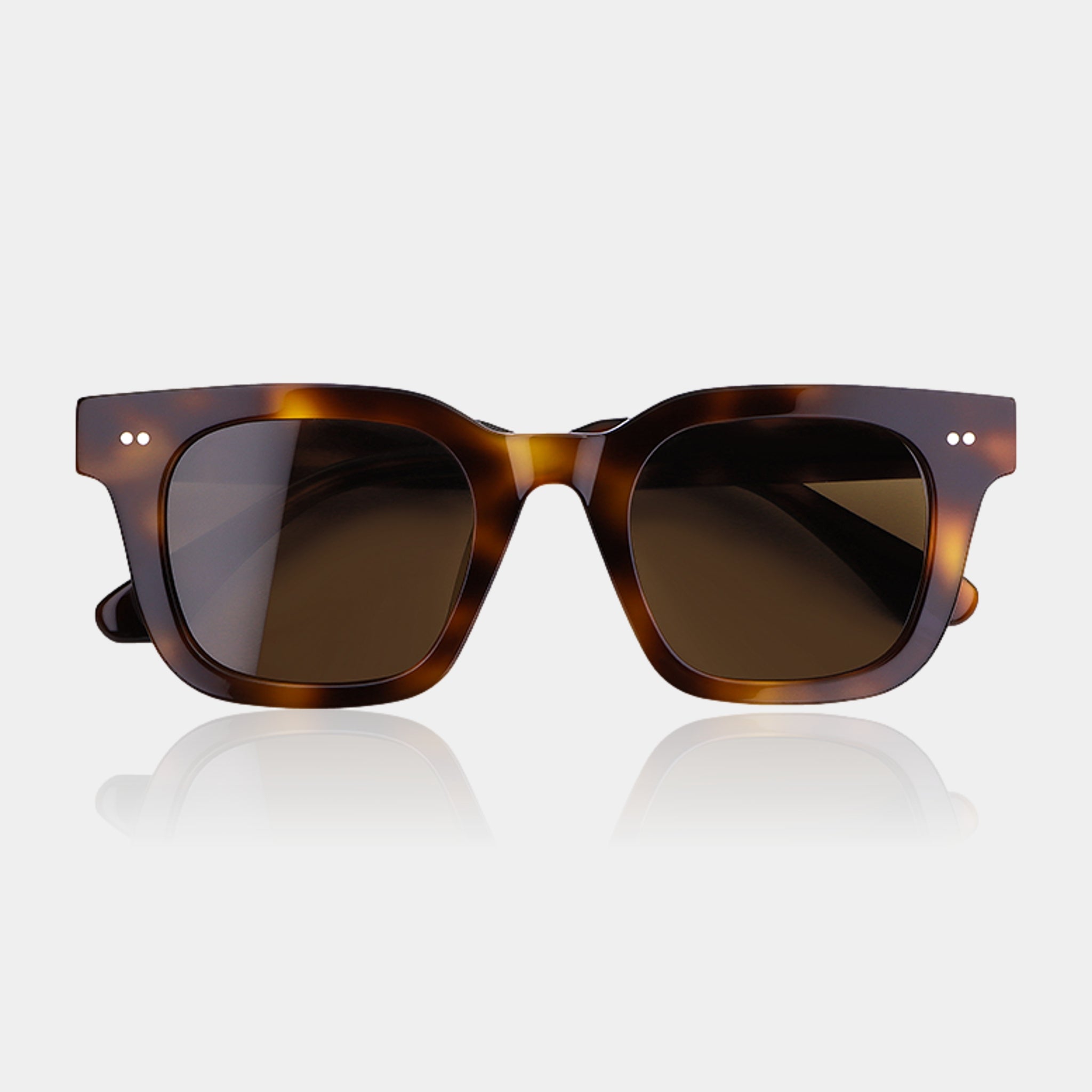 Havana/Marrón – Milton – Cuadrada – Acetato – Gafas de sol